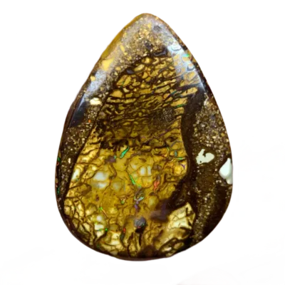 Boulder-opal 3