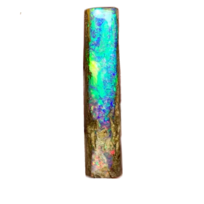 Boulder-opal 1