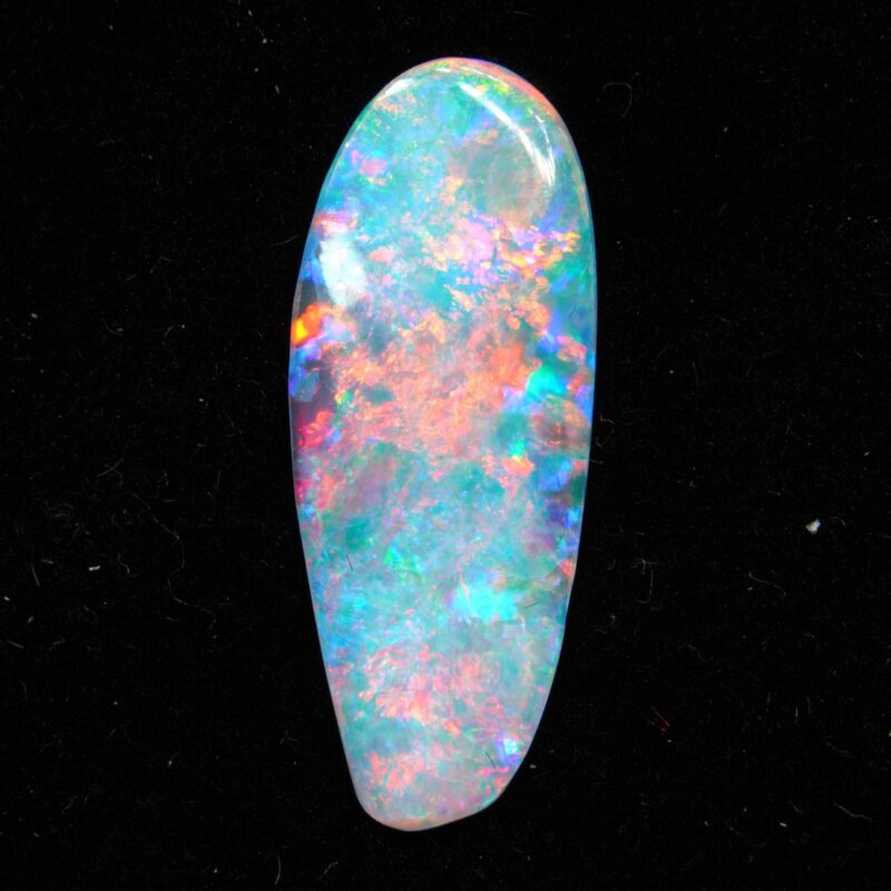 Australian Crystal Opalized Shell Fossil