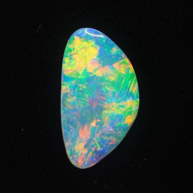 Australian Crystal Opalized Shell Fossil