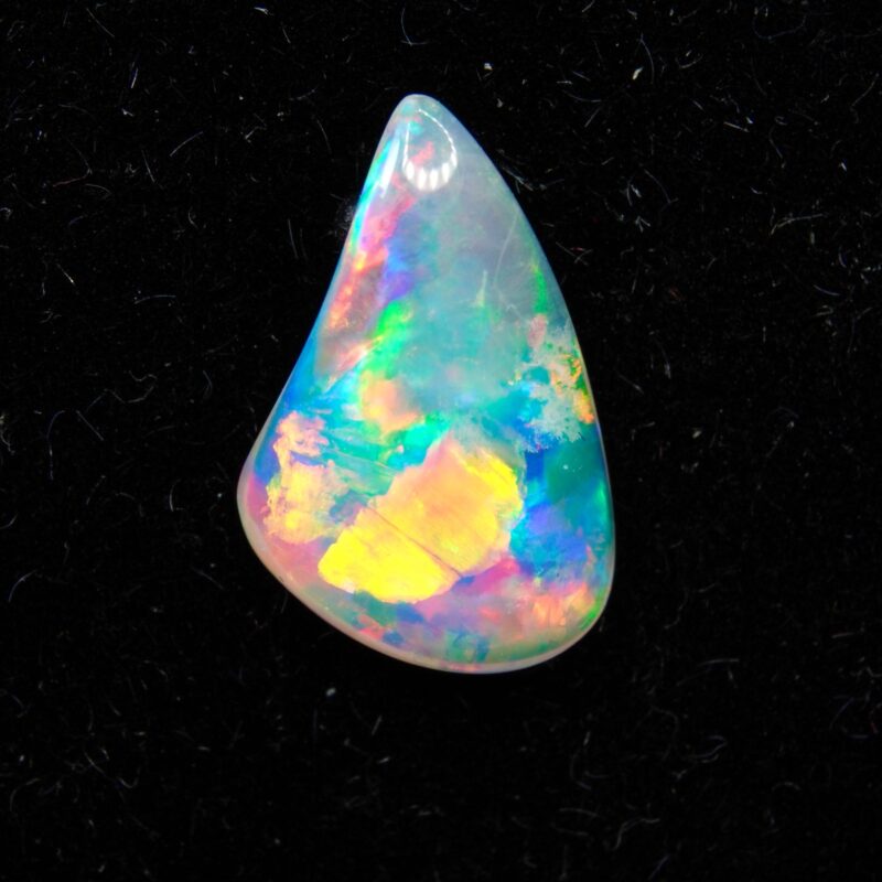 Australian Crystal Opalized Shell Fossil