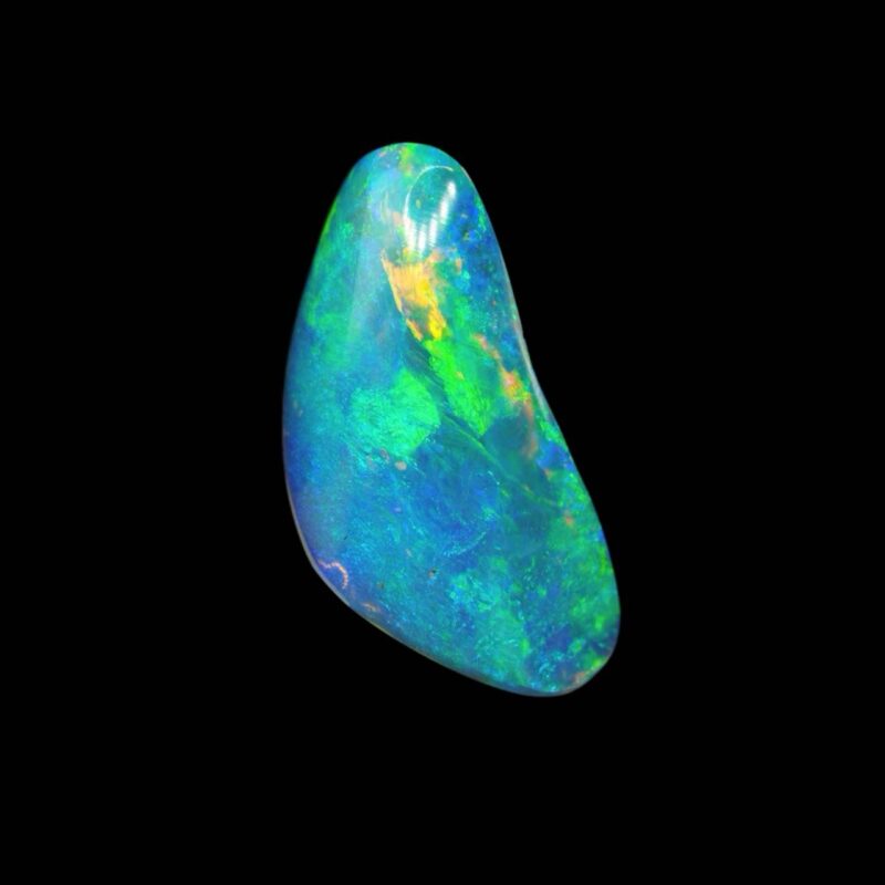 Australian Crystal Opalized Shell Fossil