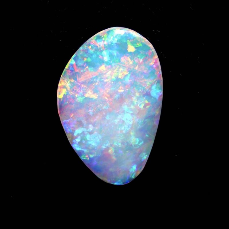 Australian Crystal Opalized Shell Fossil
