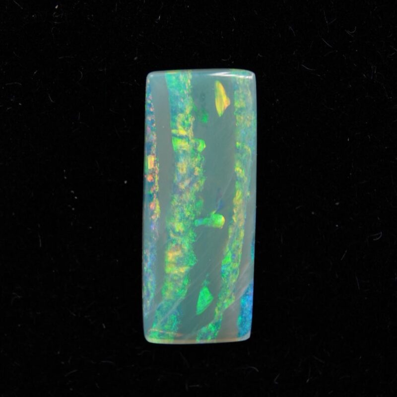 Australian Black Crystal Opalized Fossil