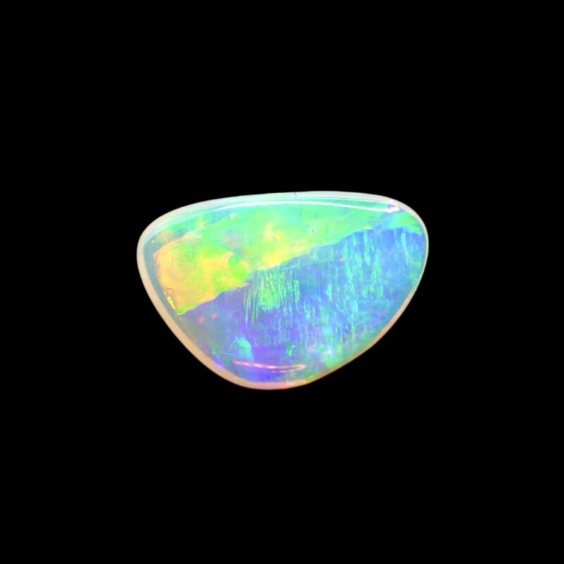 Australian Crystal Opalized Shell Fossil