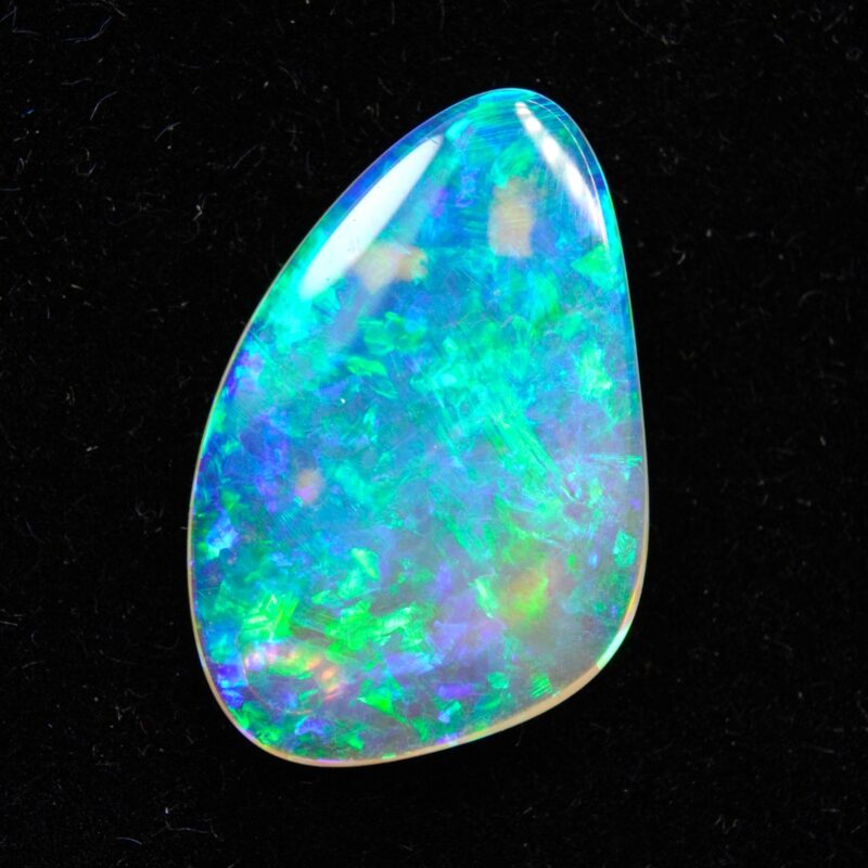 Australian Crystal Opalized Shell Fossil
