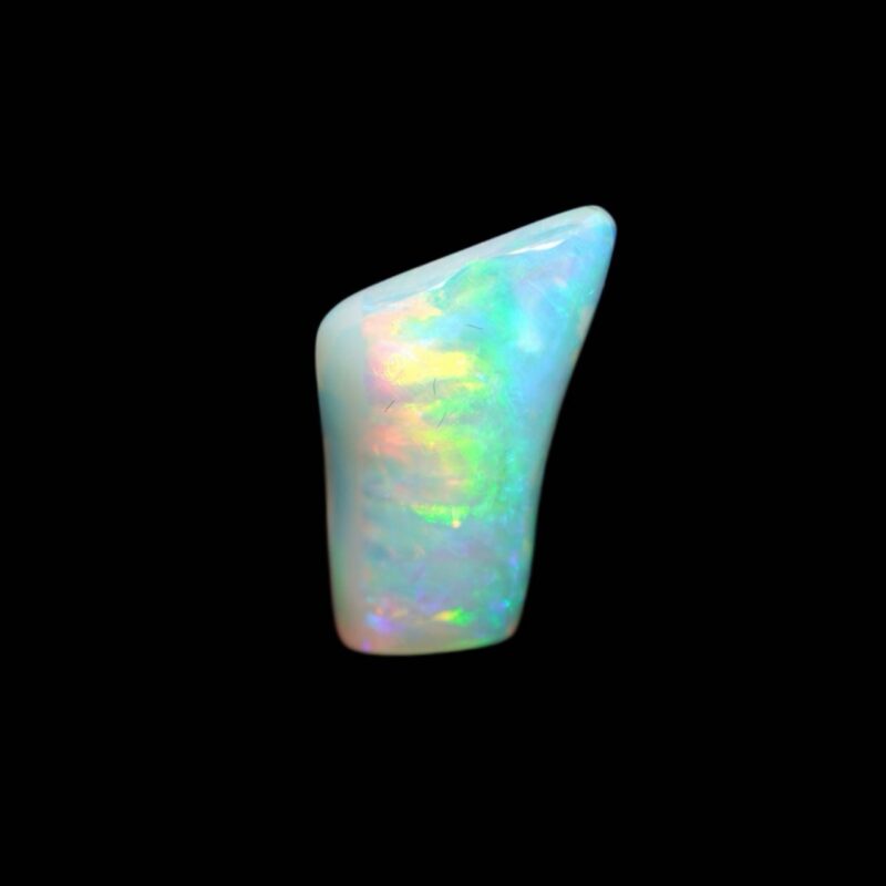 Australian Crystal Opalized Shell Fossil