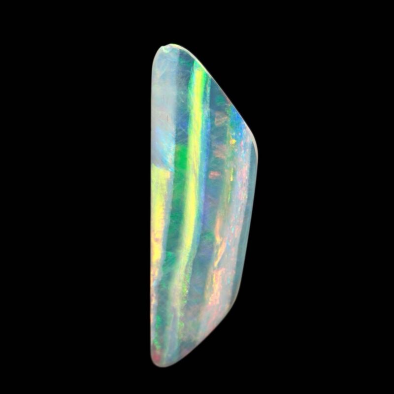 Australian Crystal Opalized Shell Fossil