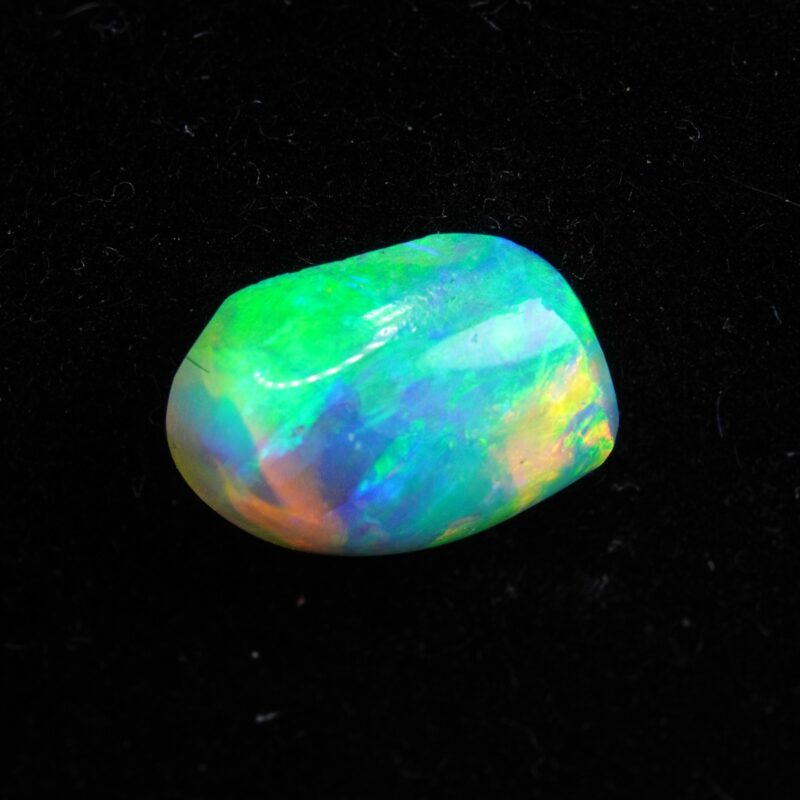 Australian Crystal Opalized Fossil