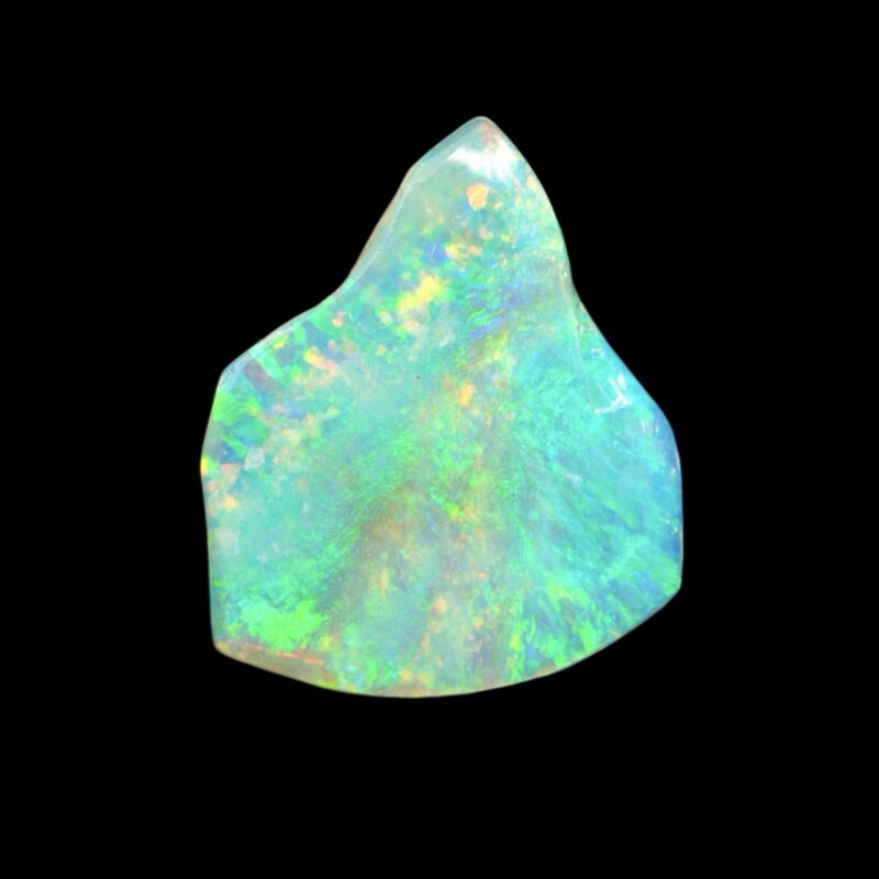 Australian Crystal Opalized Shell Fossil